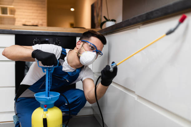 Flea Control Services in Ham Lake, MN