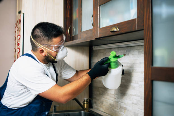 Best Bed Bug Extermination  in Ham Lake, MN