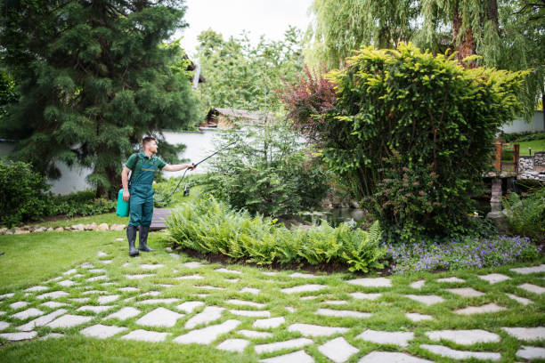 Best Wasp Removal Services  in Ham Lake, MN