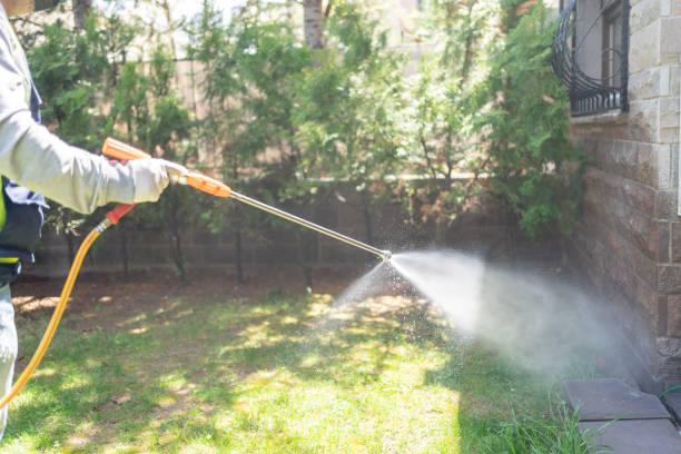 Best Affordable Pest Control Services  in Ham Lake, MN