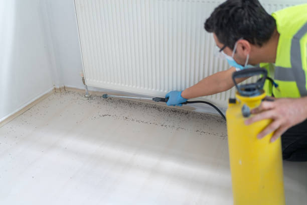 Best Mosquito Control Services  in Ham Lake, MN