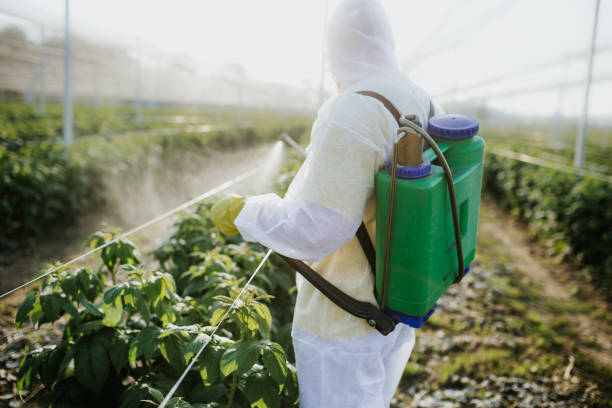 Best Pest Inspection Near Me  in Ham Lake, MN